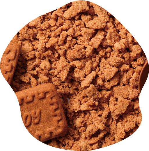 Briciole Di Biscotti Briciole Di Biscotti