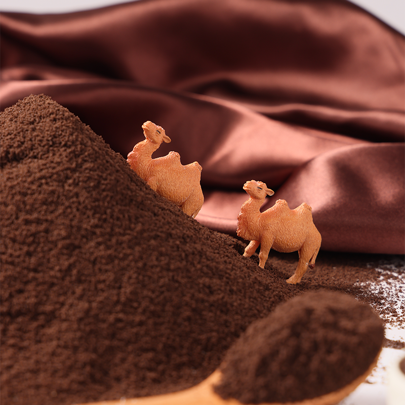 Biscotto al cacao in polvere