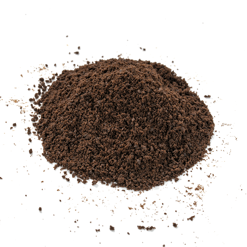 Biscotto al cacao in polvere